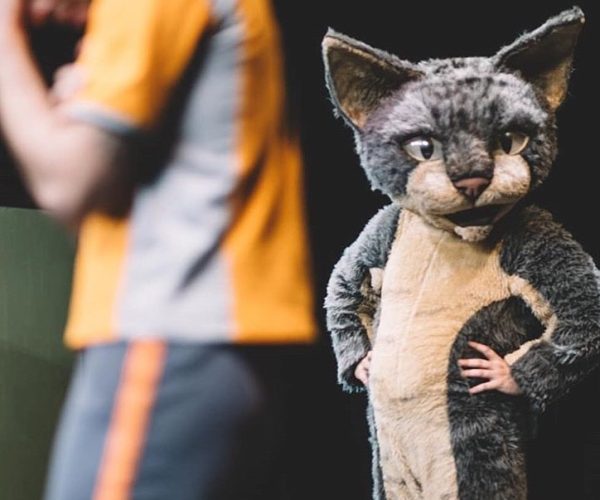 EL GATO DE SCHRODINGER